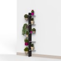 Design wandplantenhouder voor binnen, 10 schappen, Zia Flora WMH Catalogus