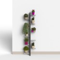 Design wandplantenhouder voor binnen, 10 schappen, Zia Flora WMH Keuze