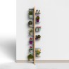 Zia Flora WH wanddesign plantenhouder voor binnen, 13 schappen Catalogus