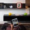 Moderne decoratieve tafeldecoratie mees Biggie Afmetingen