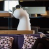 Moderne decoratieve speelgoed voor kinderen van polyethyleen Drago 