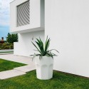 Moderne grote plantenvaas tumbler Cubalibre ijscontainer Aanbieding