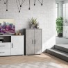 Moderne design buffetkast Lesly met 2 deuren en 3 vakken voor de woonkamer Afmetingen