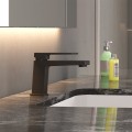 Zwart eenhendelmengkraan voor wastafel Eden Aanbieding