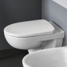 Hangend toilet met ingebouwde spoelbak Geberit Selnova badkamer sanitair Verkoop