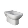 Hangend keramisch bidet met eenhendel wastafelkraan River badkamer sanitair Aanbieding