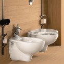 Witte WC-bril Deksel Toiletbril Geberit Colibrì badkamer sanitaire voorzieningen Verkoop