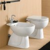 Witte WC-bril Deksel Toiletbril Geberit Colibrì badkamer sanitaire voorzieningen Aanbod
