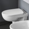 WC-bril deksel wit Geberit Selnova badkamer sanitair Aanbod