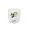 Badaccessoires set: zeephouder, dispenser, tandenborstelhouder, wc-borstelhouder Palm Korting