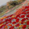 Handgeschilderd schilderij op doek met rode klaprozen veld inclusief lijst 65x150cm W634 Catalogus