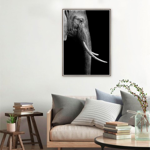 Foto poster olifant dieren in lijst 50x70cm Unika 0017 Aanbieding