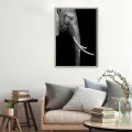 Foto poster olifant dieren in lijst 50x70cm Unika 0017 Aanbieding