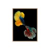 Fotoprint kleurrijke vissen schilderij in lijst 30x40 cm Unika 0021 Verkoop