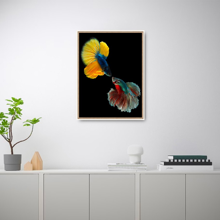Fotoprint kleurrijke vissen schilderij in lijst 30x40 cm Unika 0021 Aanbieding