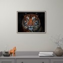 Fotoposter dieren tijger in lijst 30x40 cm Unika 0027 Aanbieding