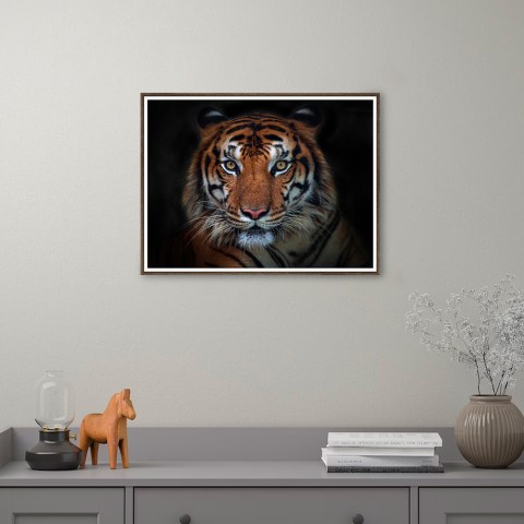 Fotoposter dieren tijger in lijst 30x40 cm Unika 0027 Aanbieding