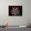 Fotoposter dieren tijger in lijst 30x40 cm Unika 0027 Aanbieding
