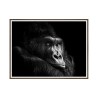 Gorilla foto afdruk dieren schilderij ingelijst 30x40 cm Unika 0026 Verkoop