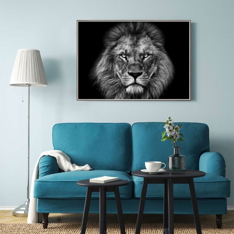 Zwart-witte leeuw fotoprint fotolijst 70x100cm Unika 0028