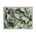 Artistieke print fotografie poster planten bladeren 30x40cm Unika 0055 Verkoop