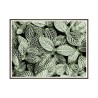 Artistieke print fotografie poster planten bladeren 30x40cm Unika 0055 Verkoop
