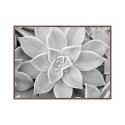 Print foto zwart wit plantenlijst 30x40cm Unika 0056 Verkoop