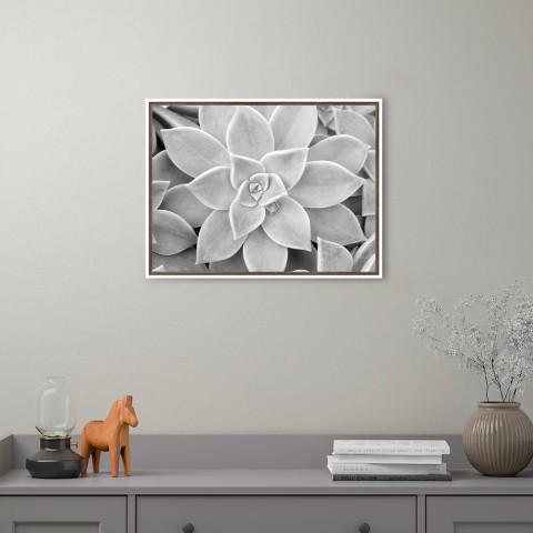 Zwart-wit fotoprint vetplant met lijst 30x40cm Unika 0056 Aanbieding