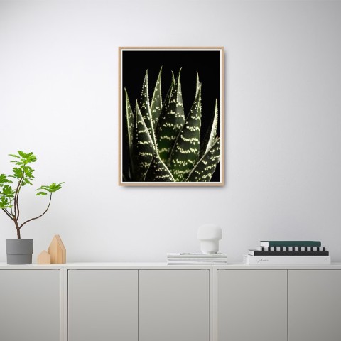 Fotoprint poster aloe bladeren met lijst 30x40cm Unika 0060 Aanbieding