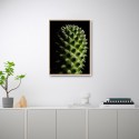 Fotoprint plant cactus bloem in lijst 30x40 cm Unika 0061 Aanbieding
