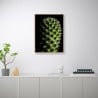 Fotoprint plant cactus bloem in lijst 30x40 cm Unika 0061 Aanbieding