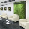 Gestabiliseerde plantenpanelen 4 panelen 60x40cm GreenBox Kit Lichen 