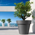 Grote bloempot ø 80cm voor buitenplanten terras tuin Cornaglia Aanbieding