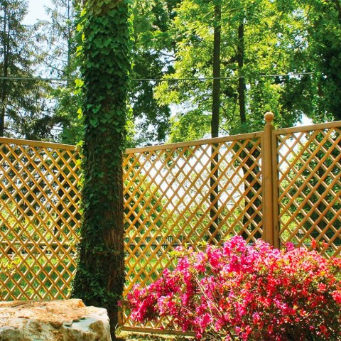 Trellisscherm voor klimplanten tuin hout 90x180 cm Trendy Aanbieding