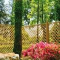Trellisscherm voor klimplanten tuin hout 90x180 cm Trendy Aanbieding