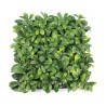 Tuinomheining kunsthaag privacy scherm 4 stuks 50x50cm Lauro Ceraso Plus Aanbieding