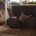 Multifunctionele opbergbox voor buiten in kunststof voor tuingereedschap Brightwood Keter Karakteristieken