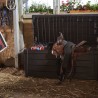 Multifunctionele opbergbox voor buiten in kunststof voor tuingereedschap Brightwood Keter Karakteristieken