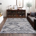 Moderne rechthoekig shaggy vloerkleed met langharige anti-allergene stof BIA003 Aanbieding