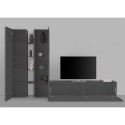 Moderne wandmeubel tv-kast woonkamer vitrinekast Elco RT Kortingen