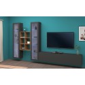 Moderne zwevende wandmeubel TV-kast boekenplank hout met 2 vitrinekasten Yves RT Catalogus