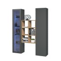 Moderne opbergwand met vitrinekast boekenkast hout Teret RT Aanbod