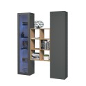 Moderne wandmeubel met vitrine, kast en boekenkast van hout Teret RT Aanbod