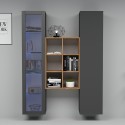 Moderne wandmeubel met vitrine, kast en boekenkast van hout Teret RT Catalogus