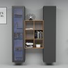 Moderne wandmeubel met vitrine, kast en boekenkast van hout Teret RT Catalogus