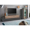 Moderne zwarte en houten wandmeubel met TV-meubel en vitrinekast Woud AP Catalogus