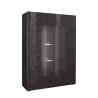 Moderne vitrinekast grijs hoogglans 2 deuren 121x166cm Ego Rt Aanbod