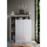 Moderne woonkamer dressoir Delma met 2 deuren en 5 vakken Catalogus