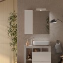 Badkamerspiegel met LED-verlichting en kolomkast 1 deur wit grijs Pilar BC Catalogus