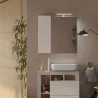 Badkamerspiegel met LED-verlichting en kolomkast 1 deur wit grijs Pilar BC Catalogus